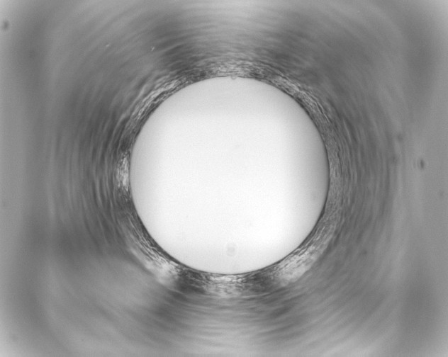X0000088160240200705150933