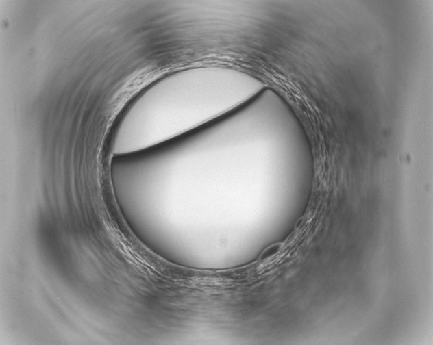X0000088160242200705150932