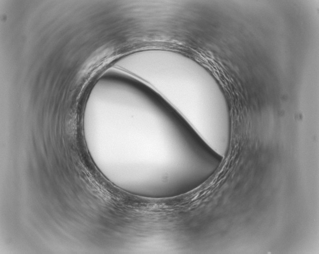 X0000088160243200705150932