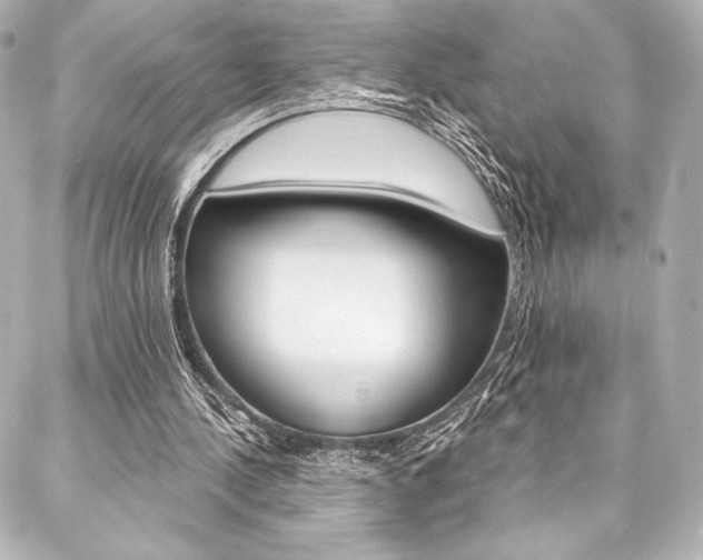 X0000088160244200705150932