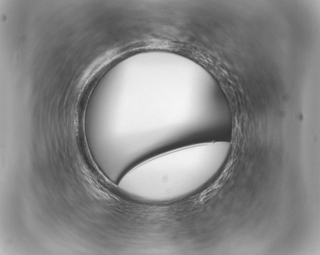 X0000088160247200705150933