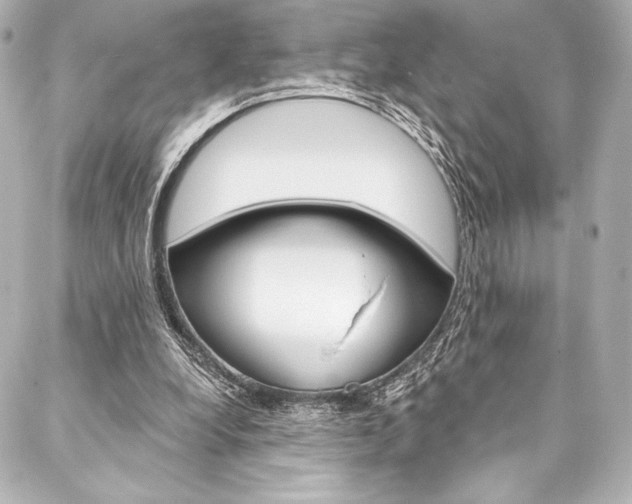 X0000088160248200705150933