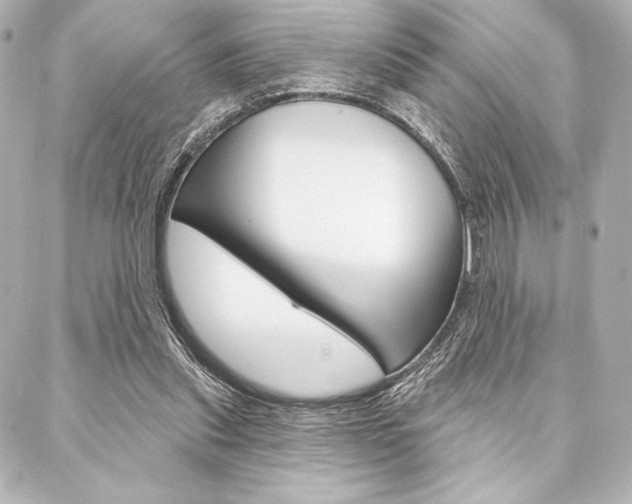 X0000088160253200705150933