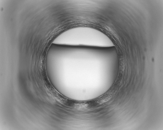 X0000088160266200705150933