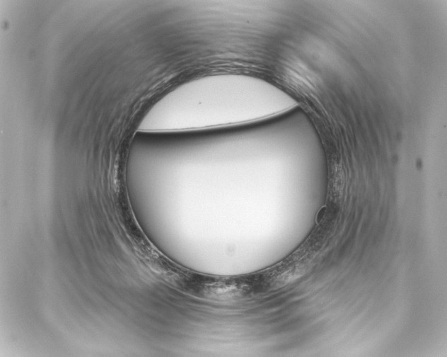 X0000088160267200705150933