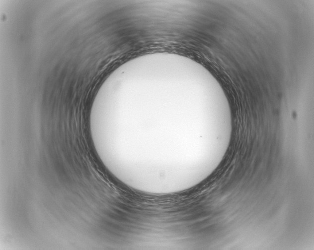 X0000088160276200705150933