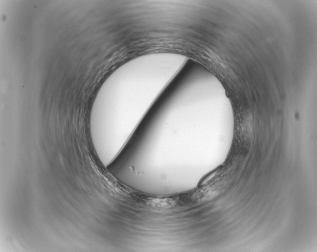 X0000088160277200705150933