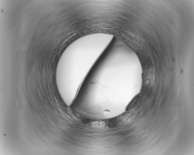 X0000088160279200705150933