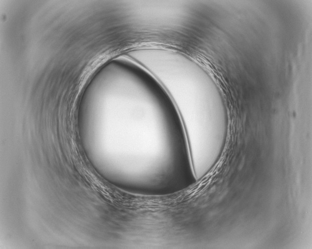 X0000088160289200705150932