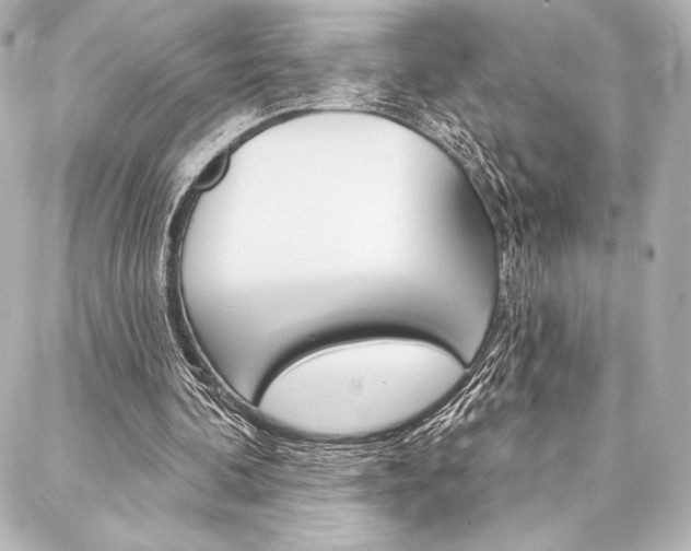 X0000088160292200705150932