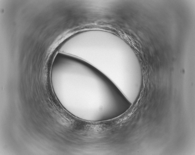 X0000088160295200705150932