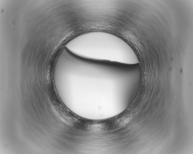 X0000088160312200705150932