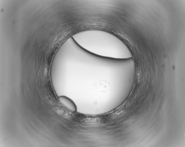 X0000088160314200705150932