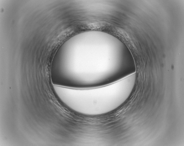 X0000088160317200705150932