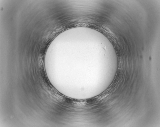 X0000088160318200705150932