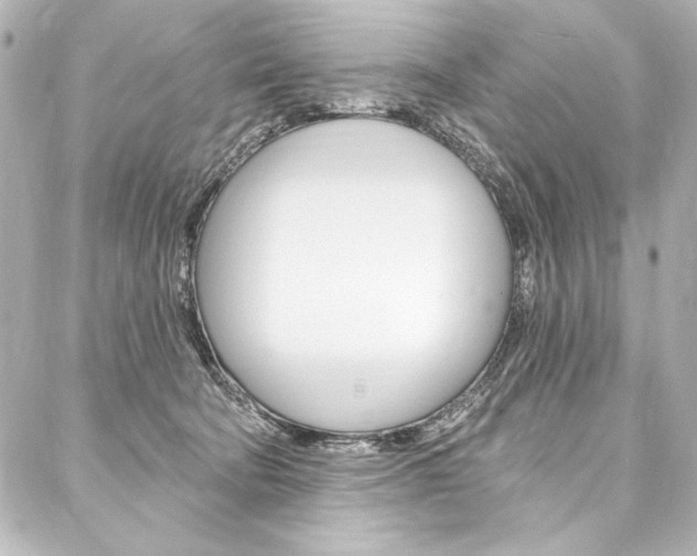 X0000088160322200705150932
