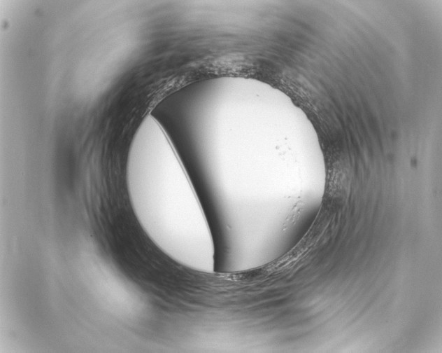 X0000088160335200705150932