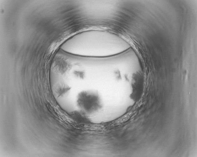 X0000088160337200705150931