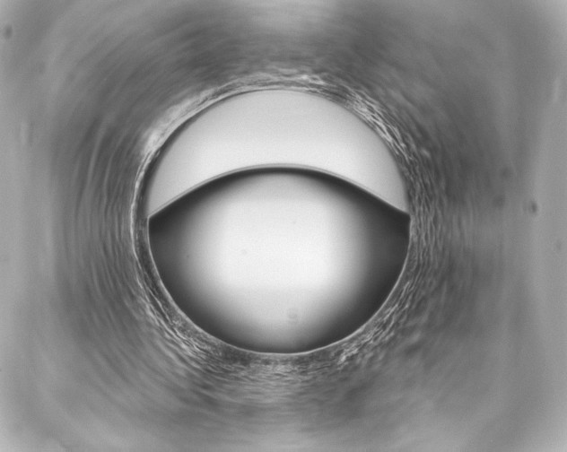 X0000088160340200705150931