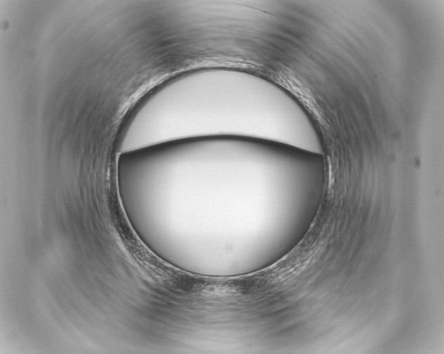 X0000088160348200705150931