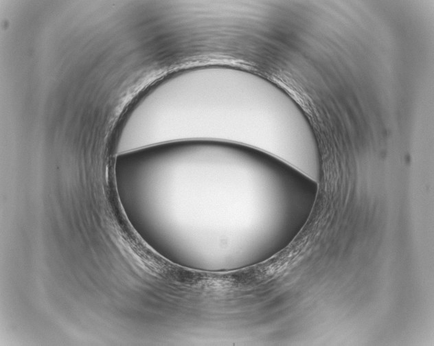 X0000088160350200705150931