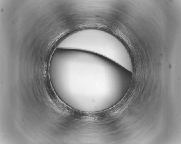 X0000088160356200705150931