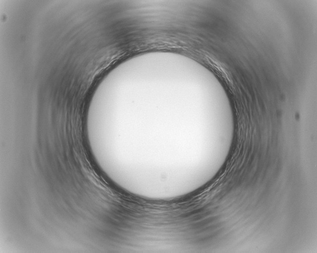 X0000088160362200705150931