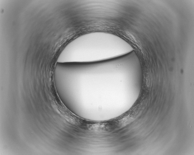 X0000088160366200705150931