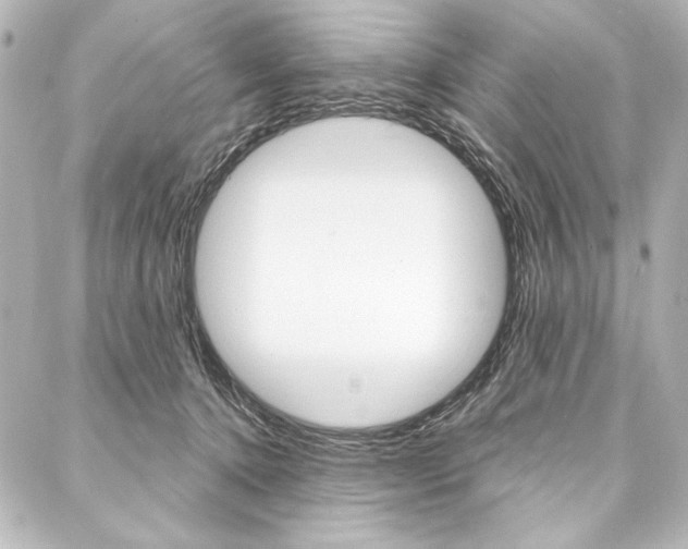 X0000088160368200705150931