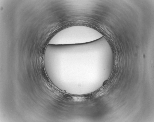 X0000088160371200705150931