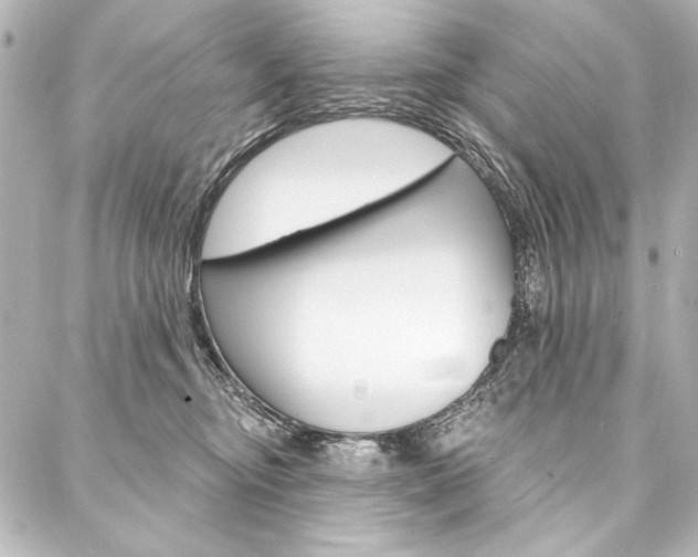 X0000088160374200705150931