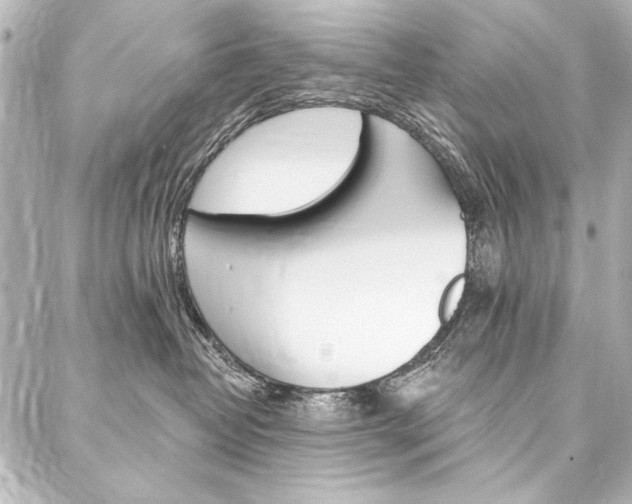 X0000088160382200705150932