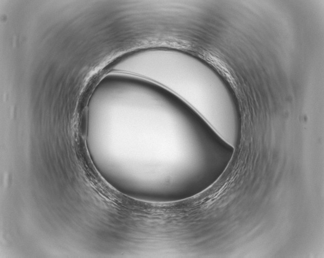 X0000088160388200705150931