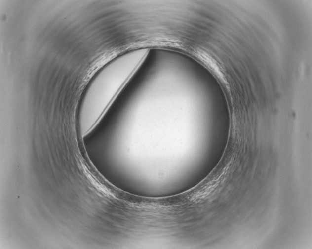 X0000088160389200705150931