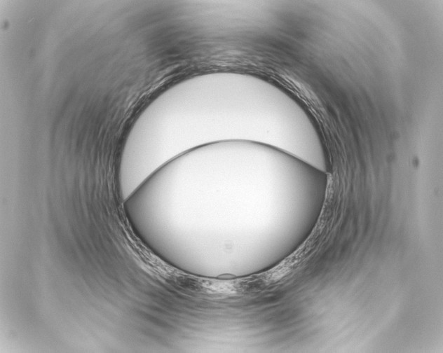 X0000088160409200705150930