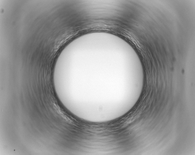 X0000088160411200705150930