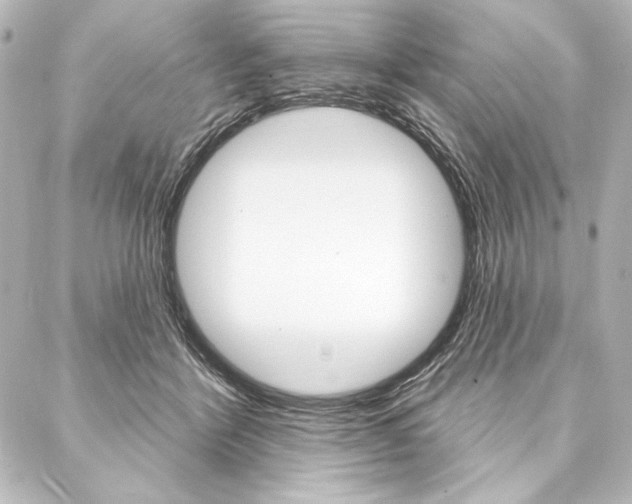 X0000088160412200705150930