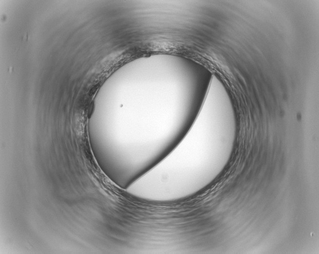 X0000088160413200705150930