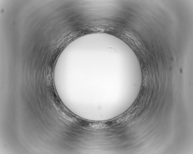 X0000088160414200705150930