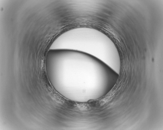 X0000088160417200705150930