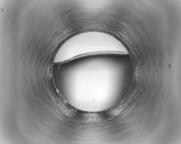 X0000088160428200705150930