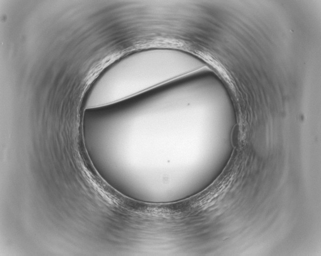 X0000088160437200705150929