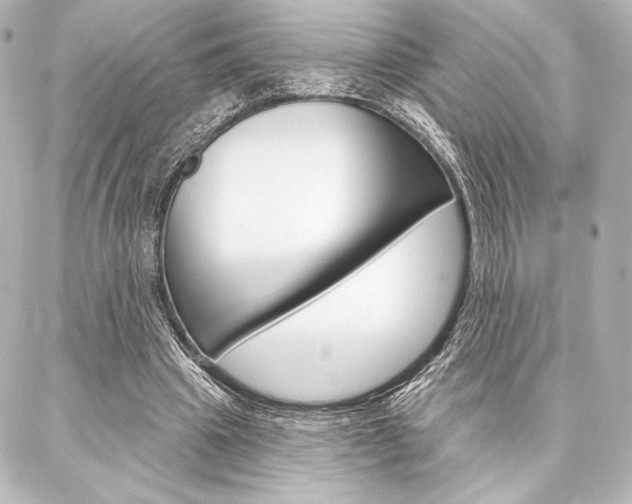 X0000088160441200705150929