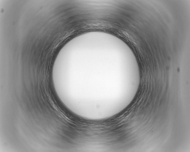 X0000088160456200705150930