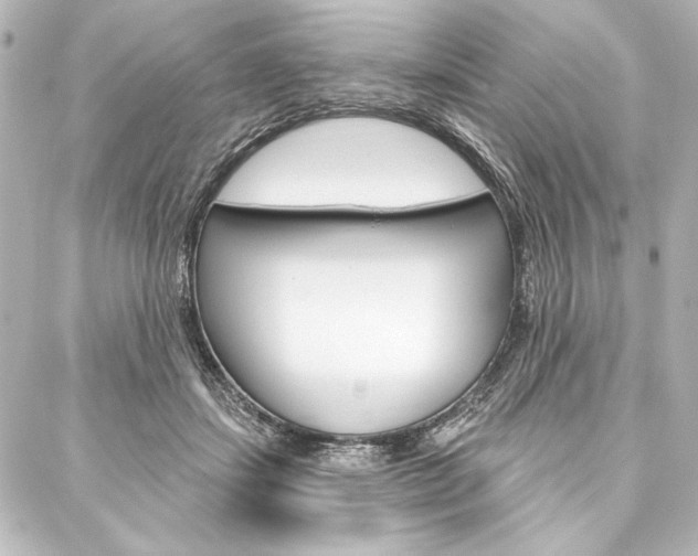 X0000088160459200705150930