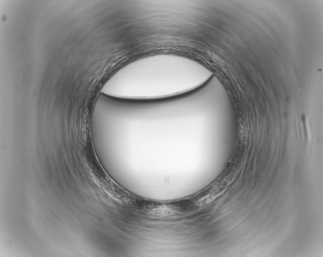 X0000088160460200705150930