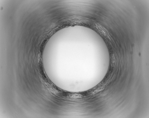 X0000088160463200705150930