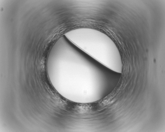 X0000088160466200705150930
