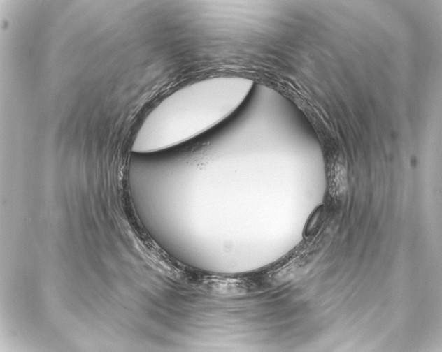 X0000088160472200705150930