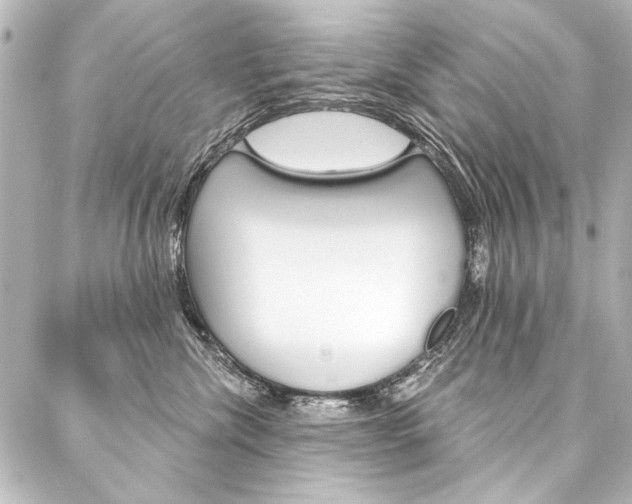 X0000088160476200705150930